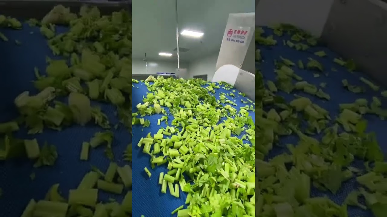 MNS-WL420B Salad Processing Line (www.menasenmachinery.com)