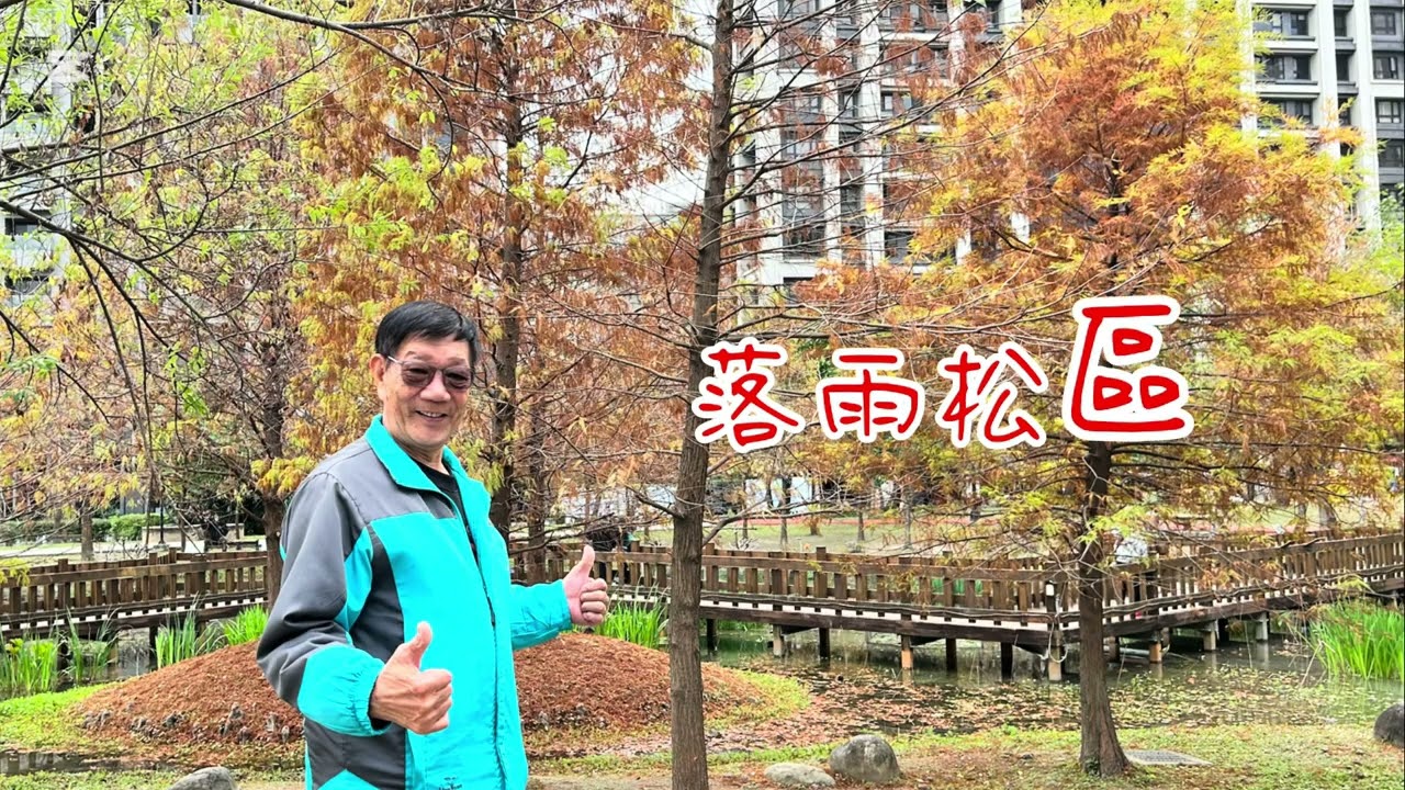 頭前運動公園（落雨松）