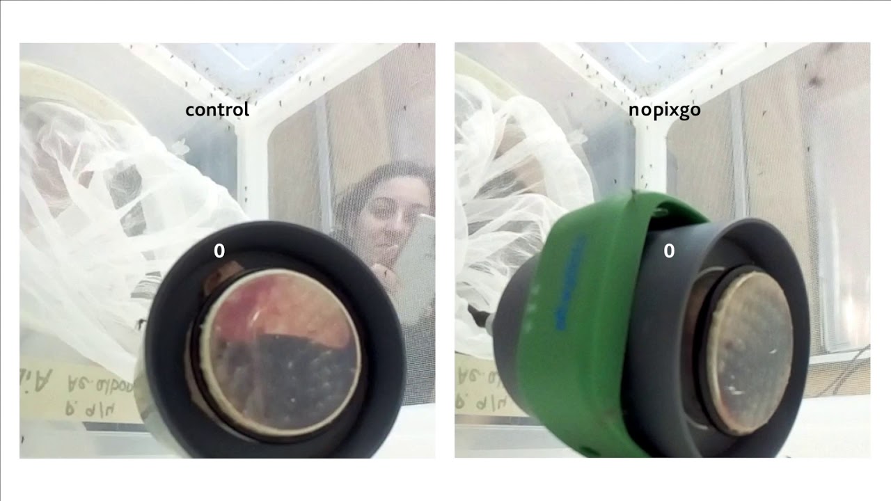 Nopixgo&reg; M&uuml;ckenschutzband im Labortest