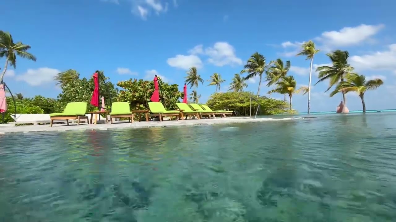 barcelo whale lagoon maldives 5 sunset villa