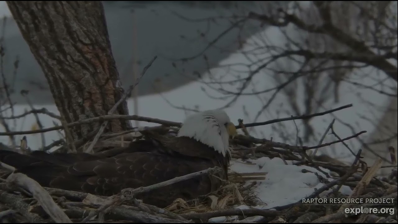 Decorah Eagles 2 24 26 HD brings another stick for HM2's back