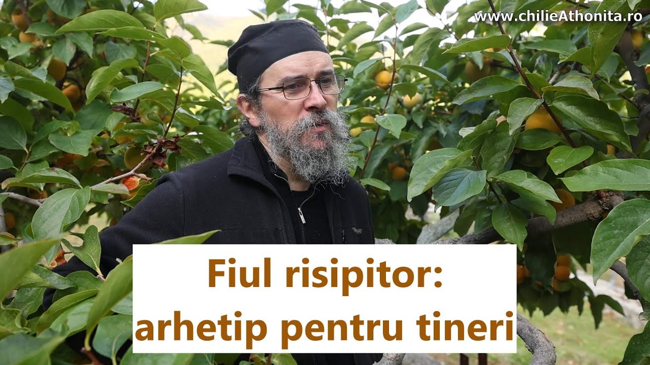 Parabola fiului risipitor: sfaturi pentru părinți și adolescenți - p. Teologos