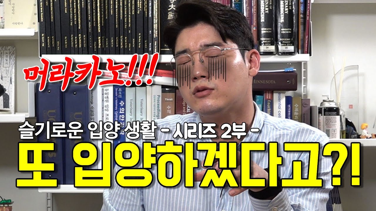 슬기로운 입양생활 #2 한마리 더 입양해도 될까? (다견입양의 조건)