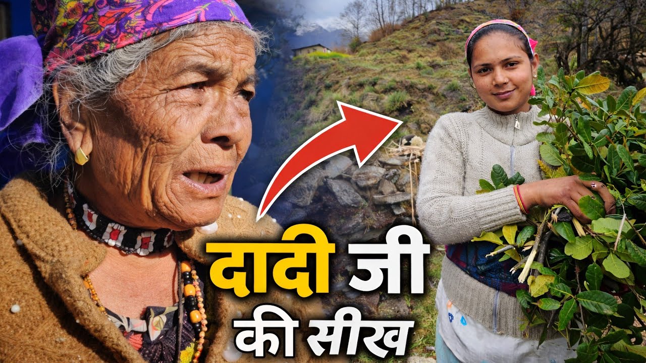 दादीजी ने सिखाया परिवार चलाने का असली तरीका 😲 || Husband Wife Daily Life Vlog