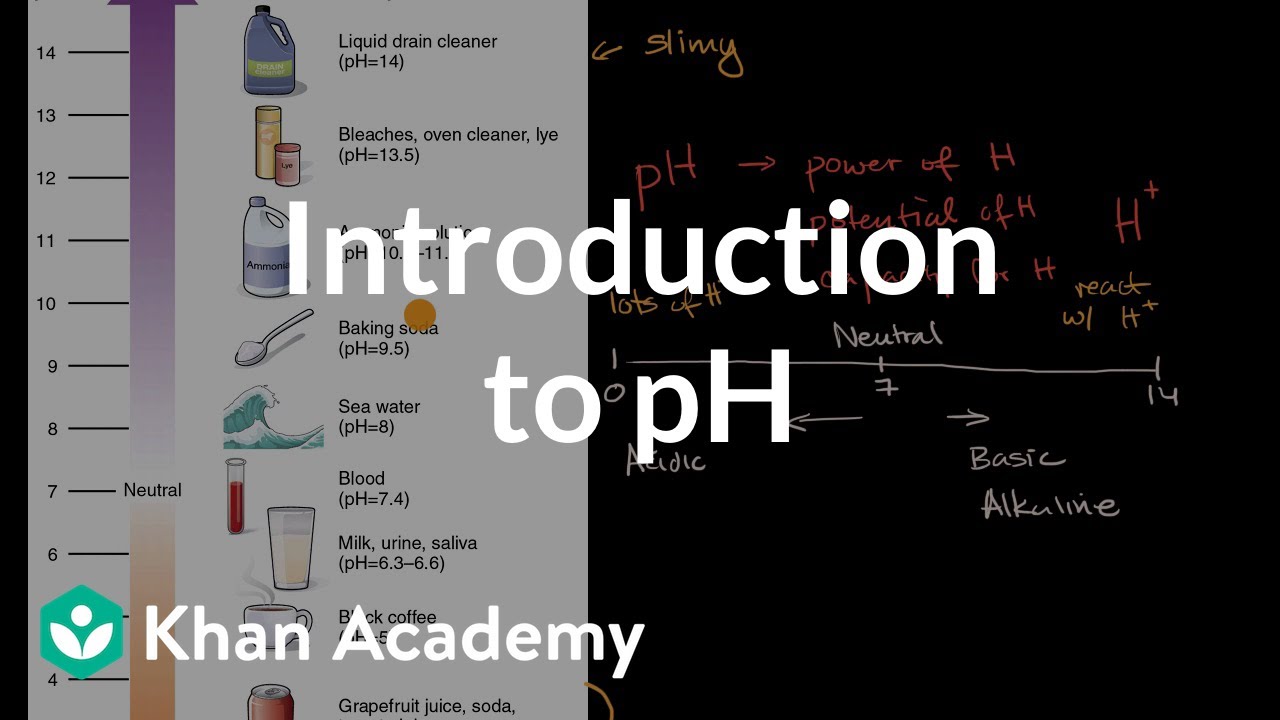 Introduction to pH | Biology | Khan Academy
