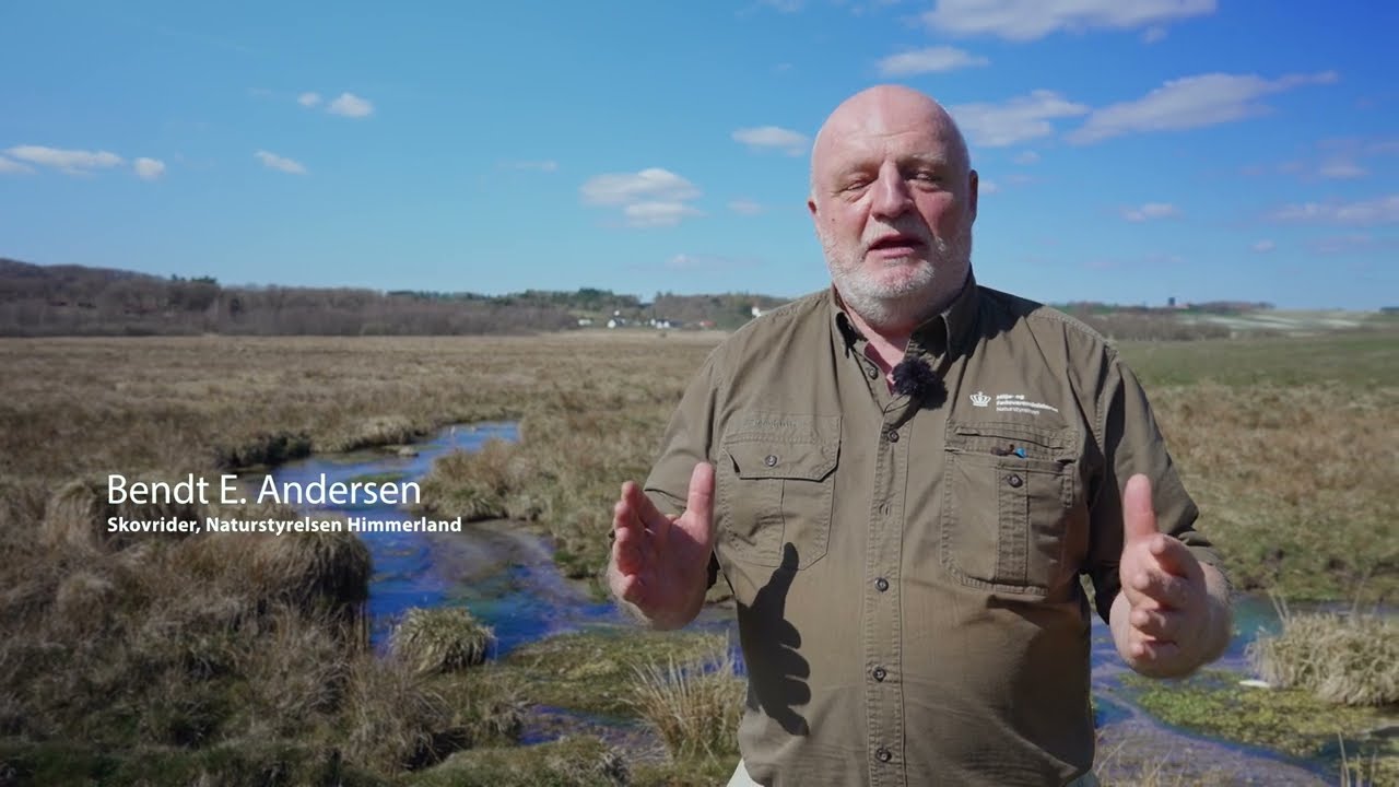 Præsentation af LIFE IP Natureman-projektet