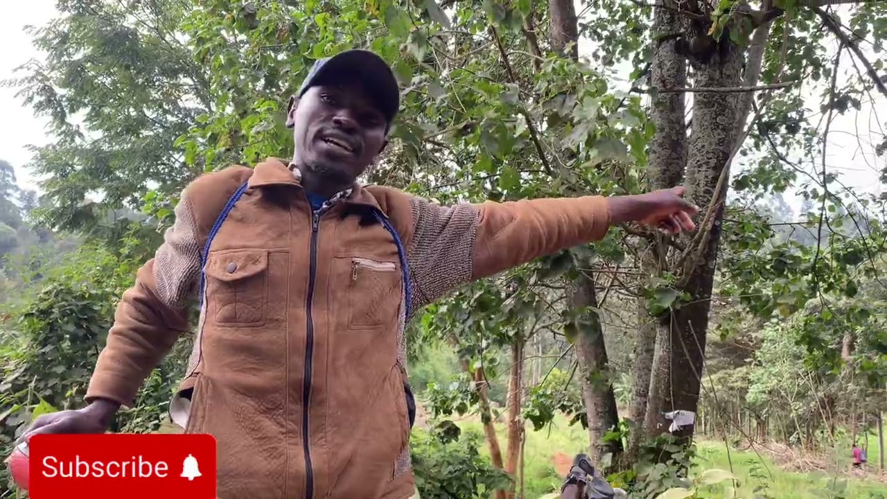 🚨🚨Theft at a Waterfall-Nyeri County on River Chania…