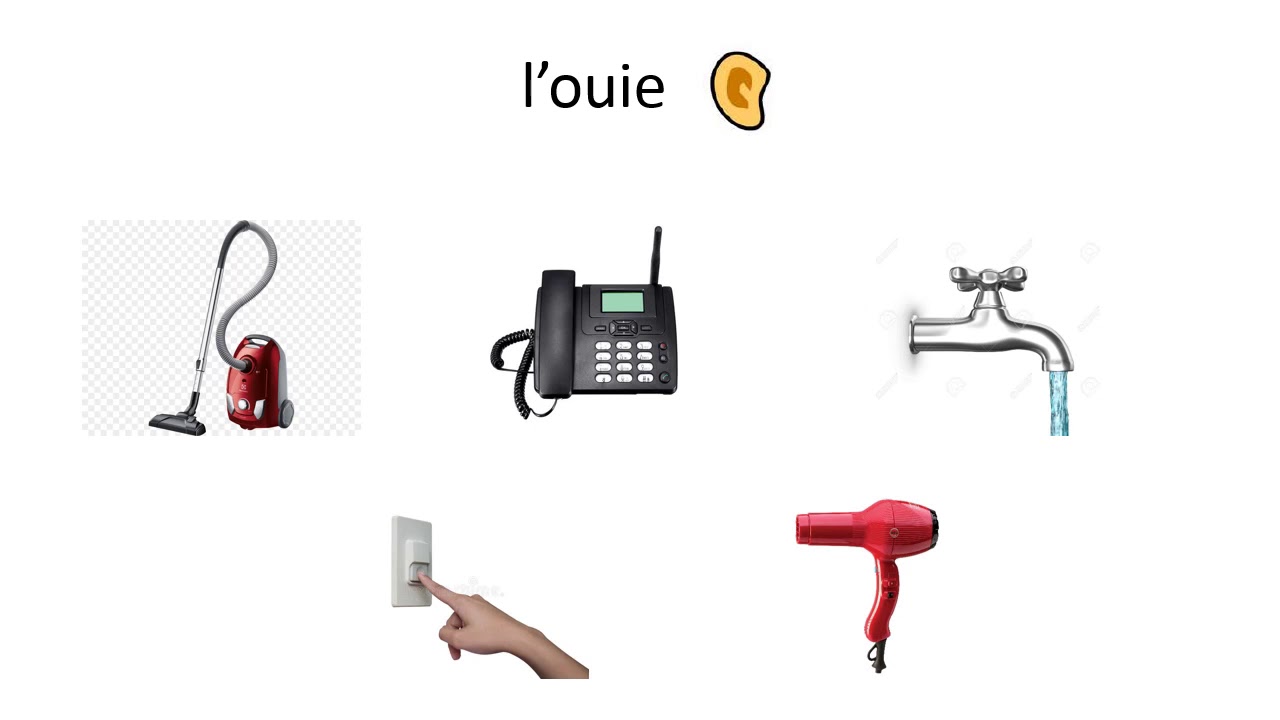 les 5 sens activités