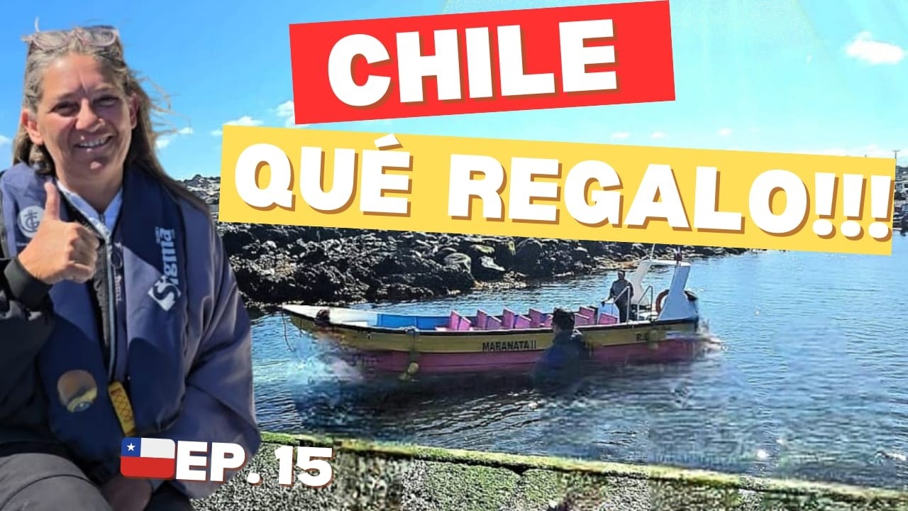 🇨🇱🫶🐬CHILE NOS HACE UN MARAVILLOSO REGALO DE LA NATURALEZA.Nos embarcamos en una  AVENTURA DISTINTA.