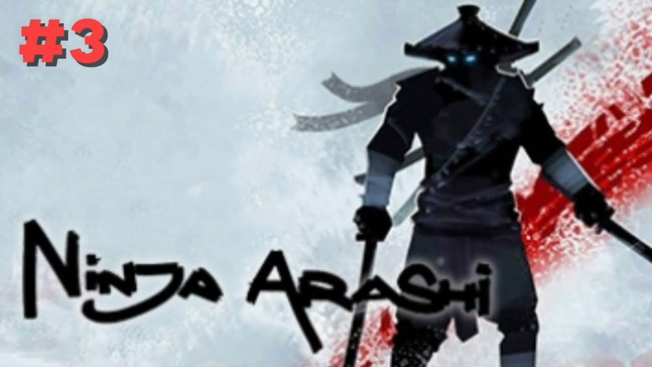 The Ninja Arashi Game playing 