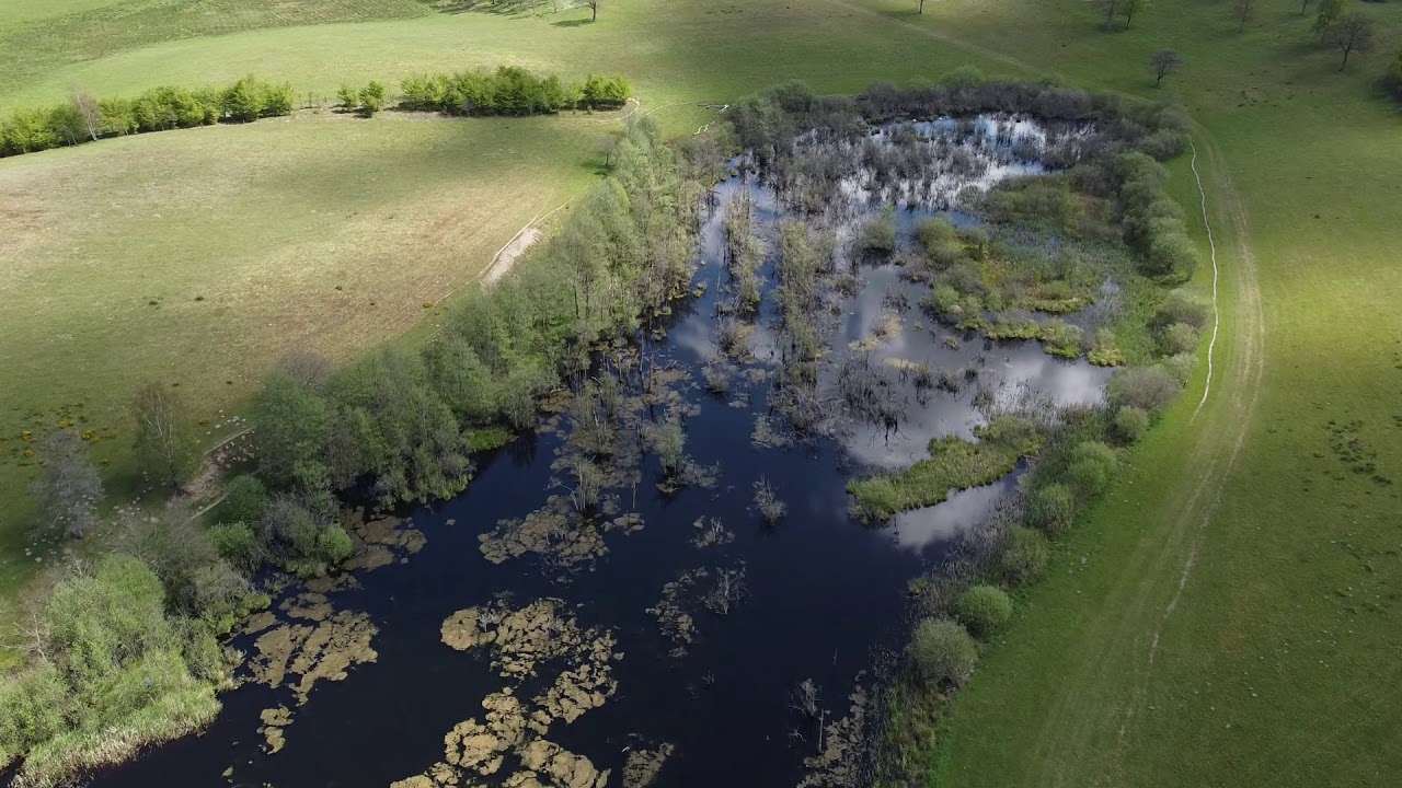 Vejle Ådal ved Runkenbjerg