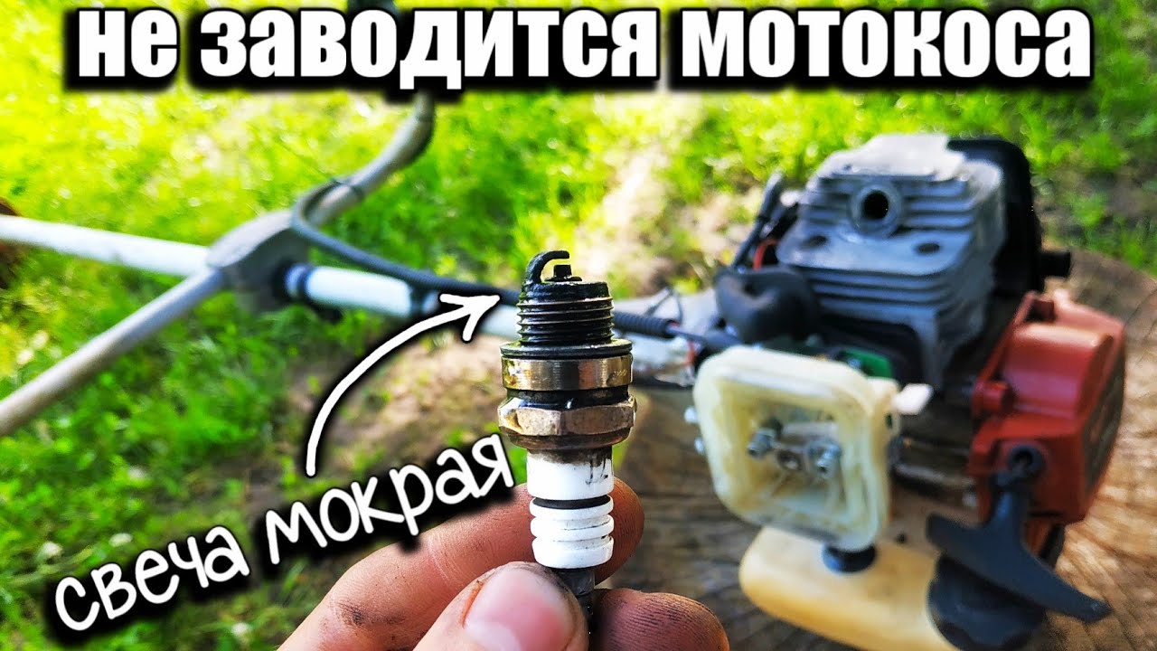 Не заводится мотокоса, свеча мокрая. Причины и ремонт