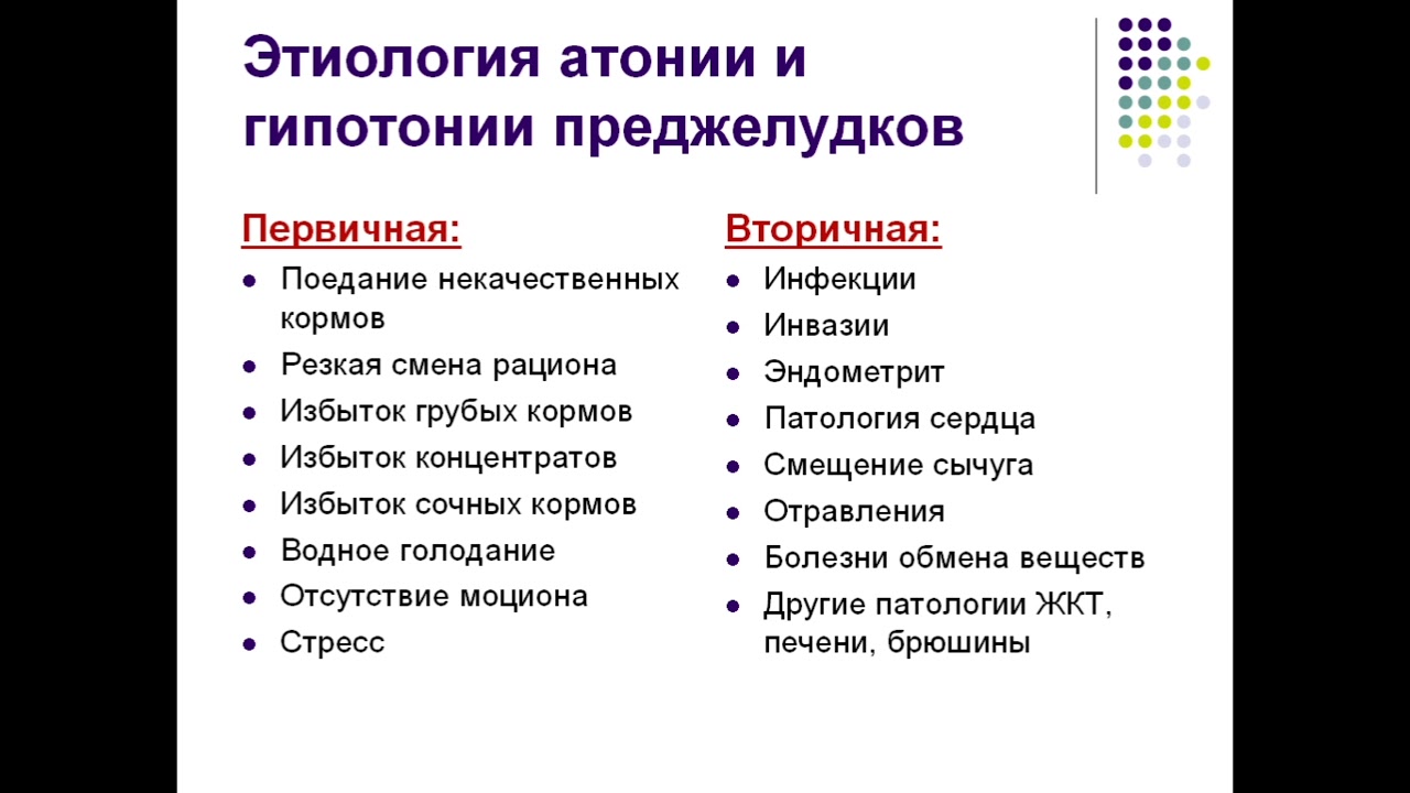 Болезни Преджелудков у Жвачных (Патология Рубца, Книжки, Сетки, Сычуга)