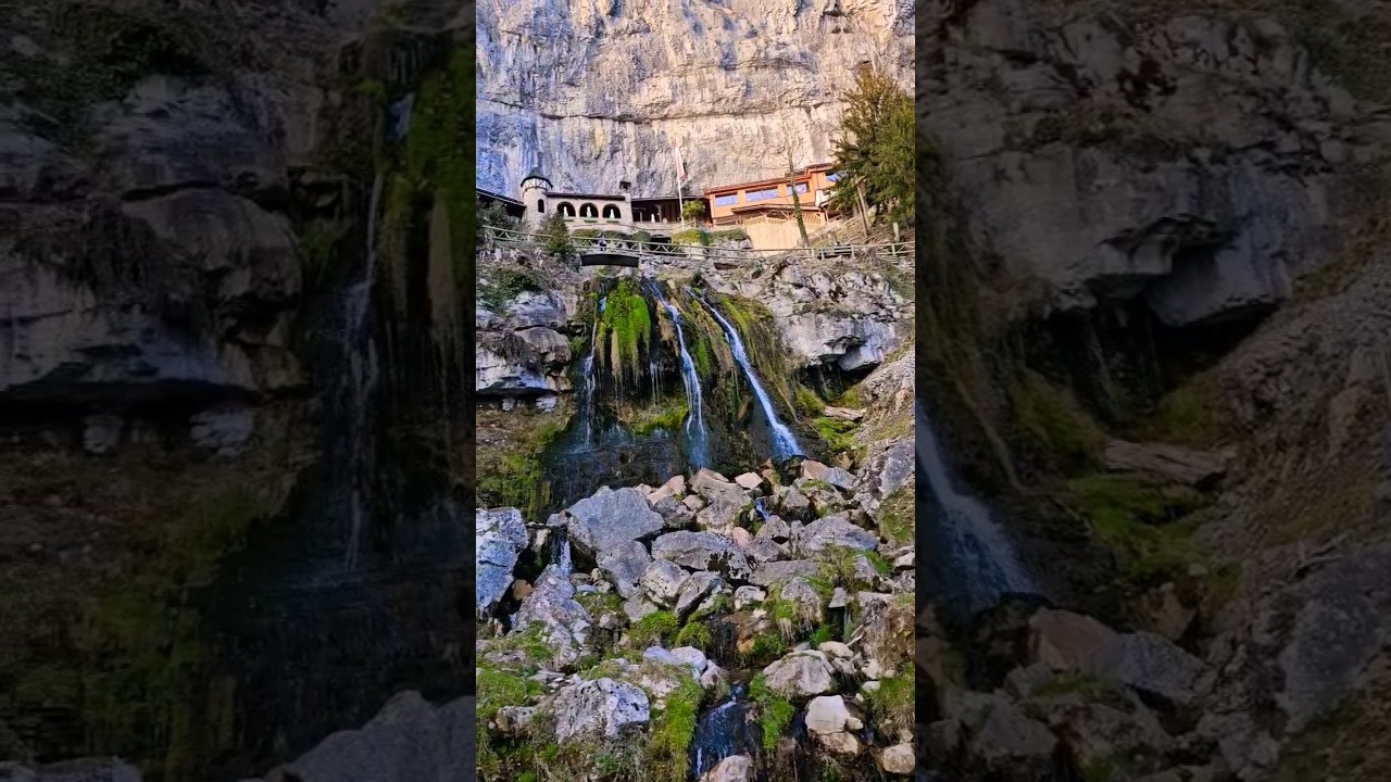 Moments from Switzerland 🫶🇨🇭#freedom #switzerland #youtubeshorts