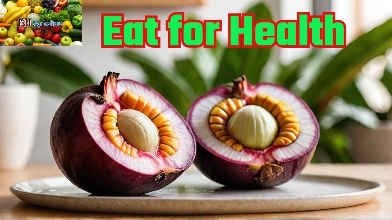 5 Amazing Health Benefits of Eating Mangosteen Fruit #phagricuture #mangosteen