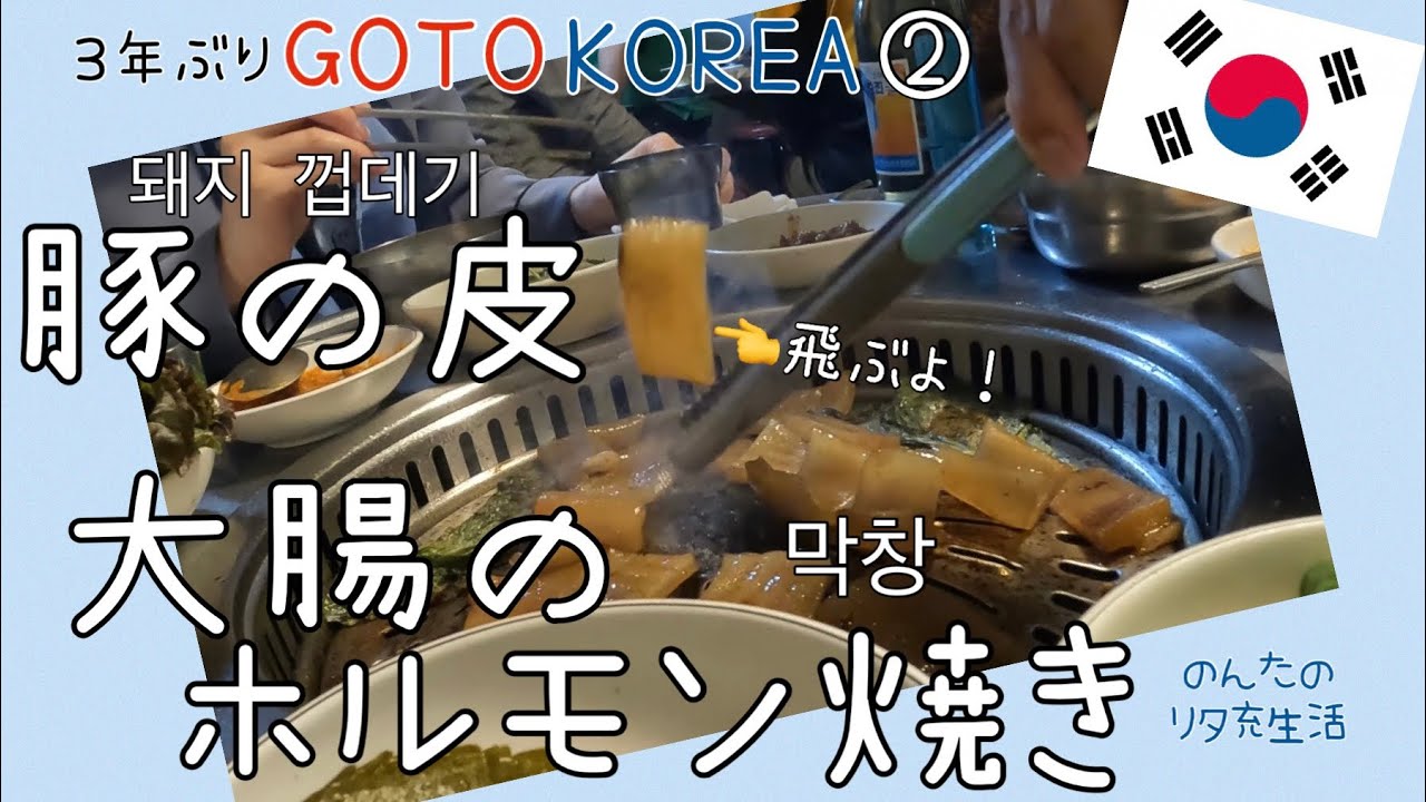 【韓国vlog】豚の皮 껍데기が飛ぶ　大腸のホルモン焼き막창はちくわの形　仕事をやめた理由を日本語でもうまく話せない(;^_^A　そして丸投げ通訳依頼