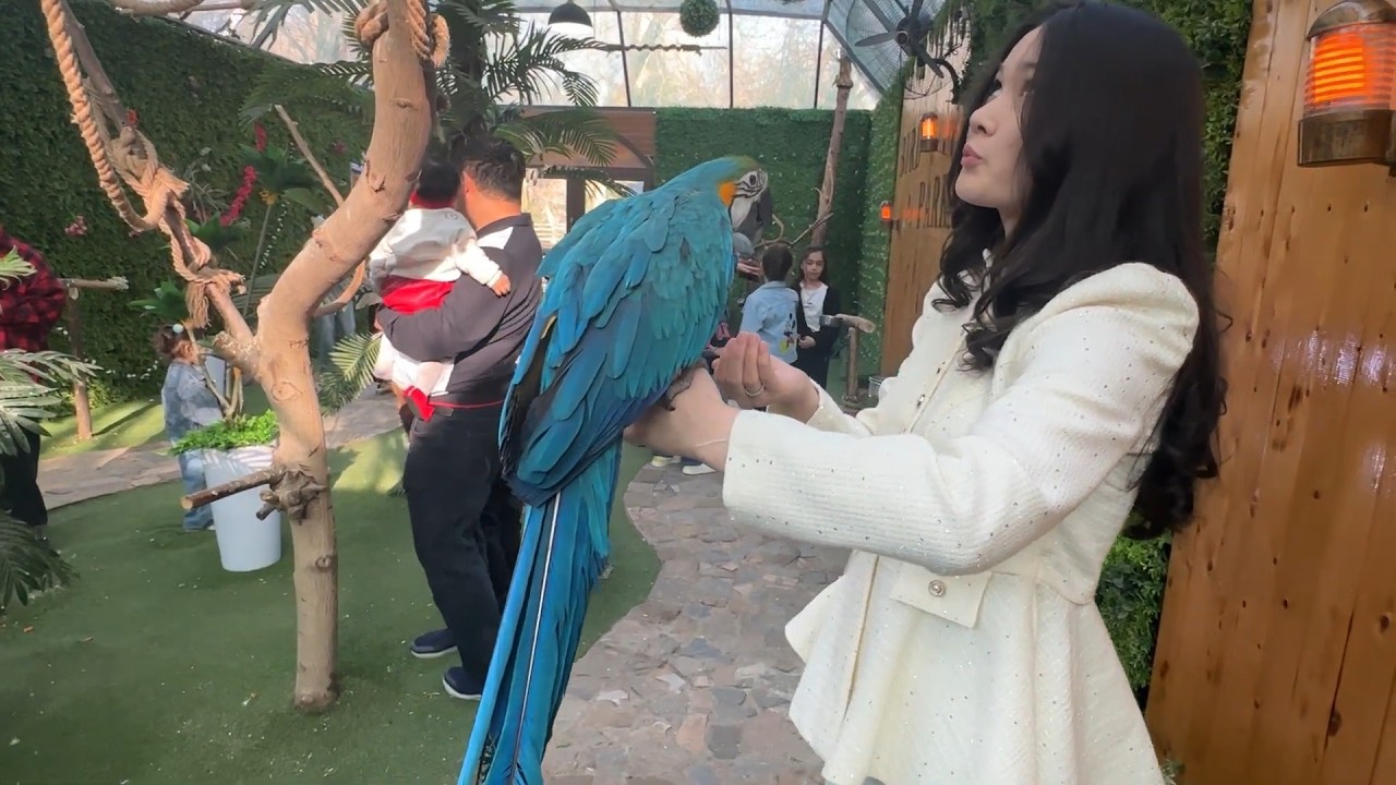 Tashkent Zoo in Uzbekistan || Visiting Places in Uzbekistan - отделы зоопарка #toshkent #zoo