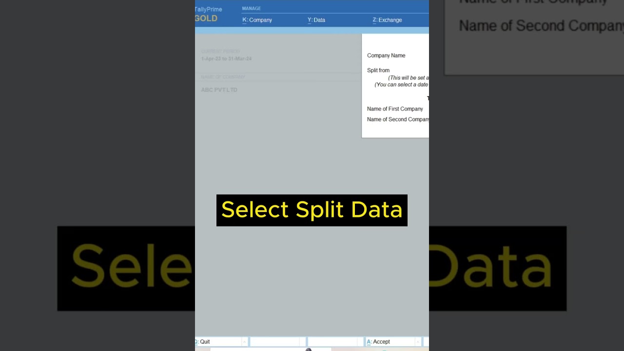 How to split company data In Tally Prime #shortvideo #tranding #tally