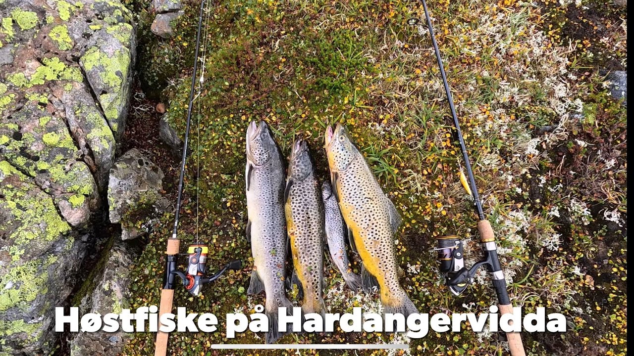 Høstfiske på Hardangervidda