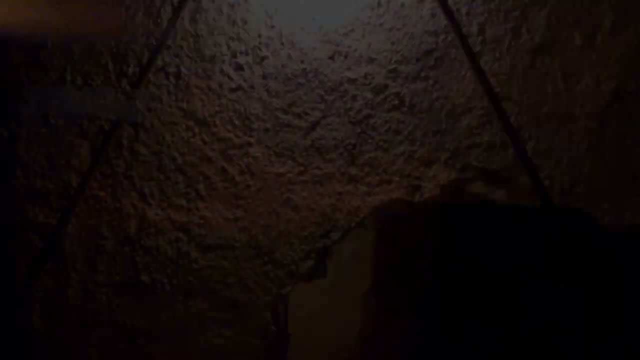 Shellac - Δεύτερη Αντίδραση | 2nd Reaction