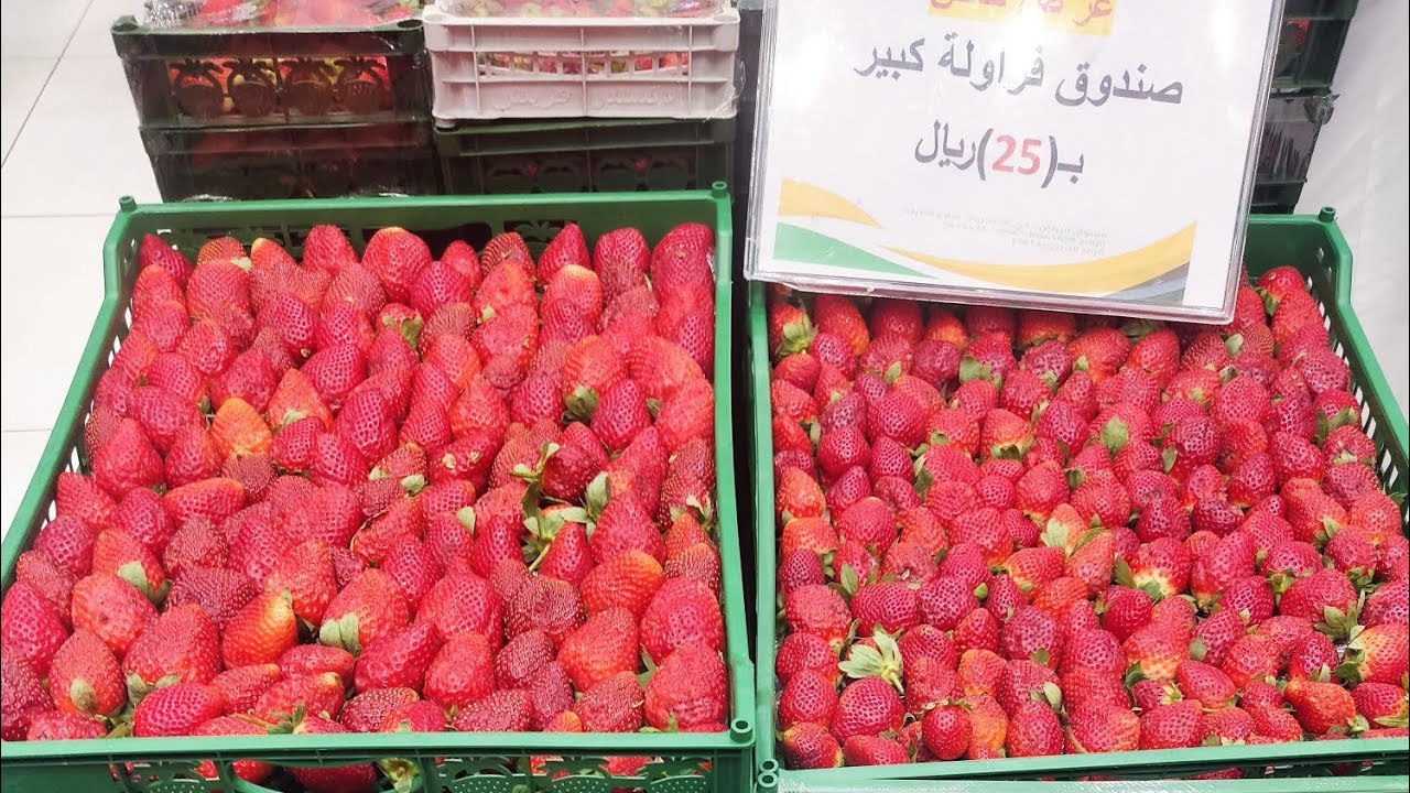 #مشترياتي الأسبوعية من الخضار والفواكه الطازجة 🫑🥒🍏🥝🥦🍅🍓🍒🍎