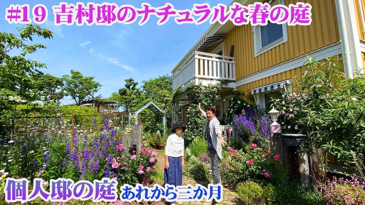 【お庭訪問 】第19回 吉村貴美子邸の庭に春がやって来ました【個人邸の庭】