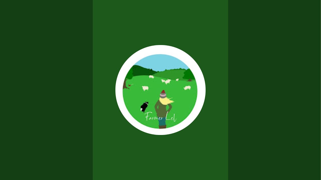 Catch up in the sheep shed.