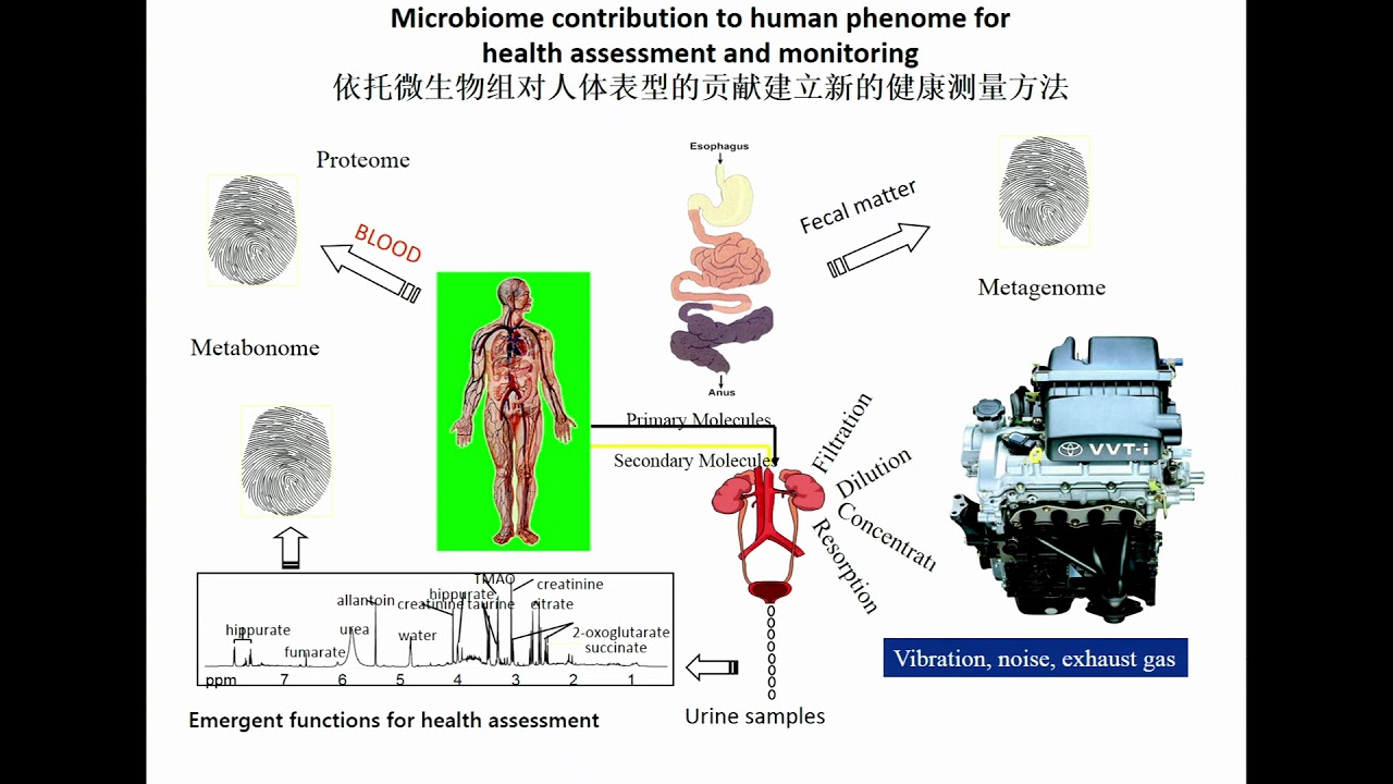 Multi-Omics Approach for Dissecting the Contribution of the Gut Microbiome