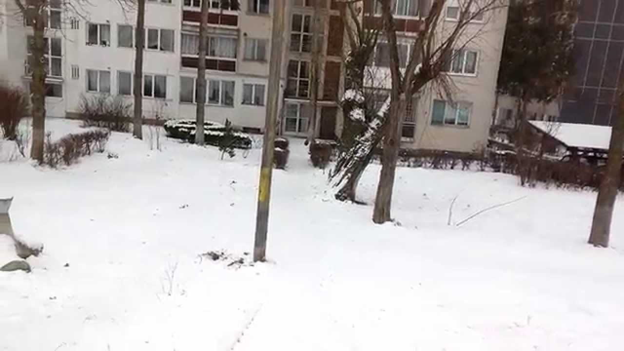 Romania.. Targu Mures 2015 Iarna