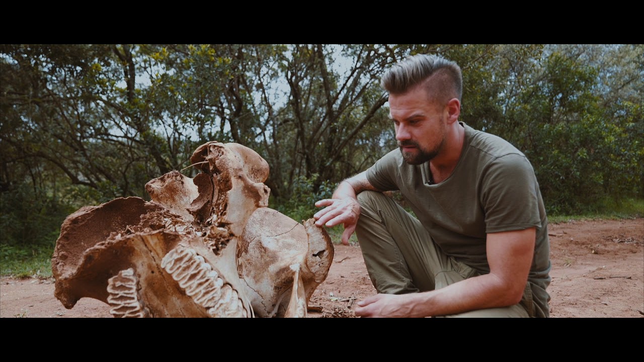 The Ivory Trade