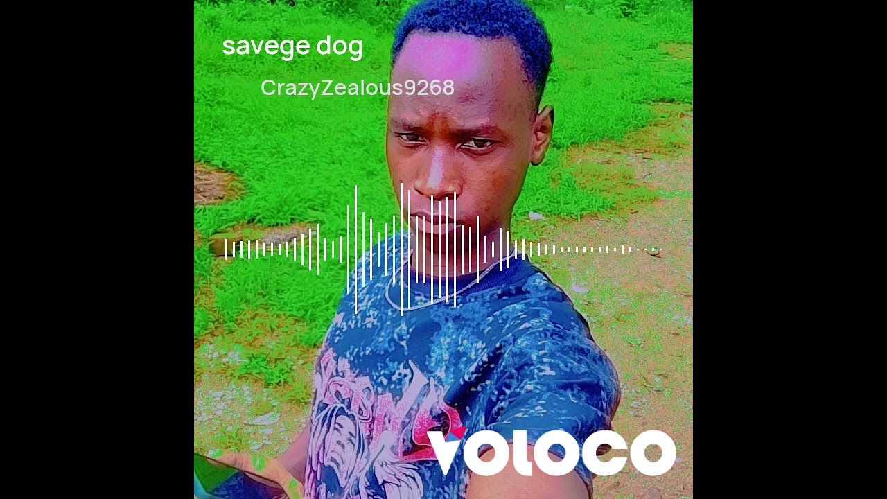Jay money King 4 zm _dog