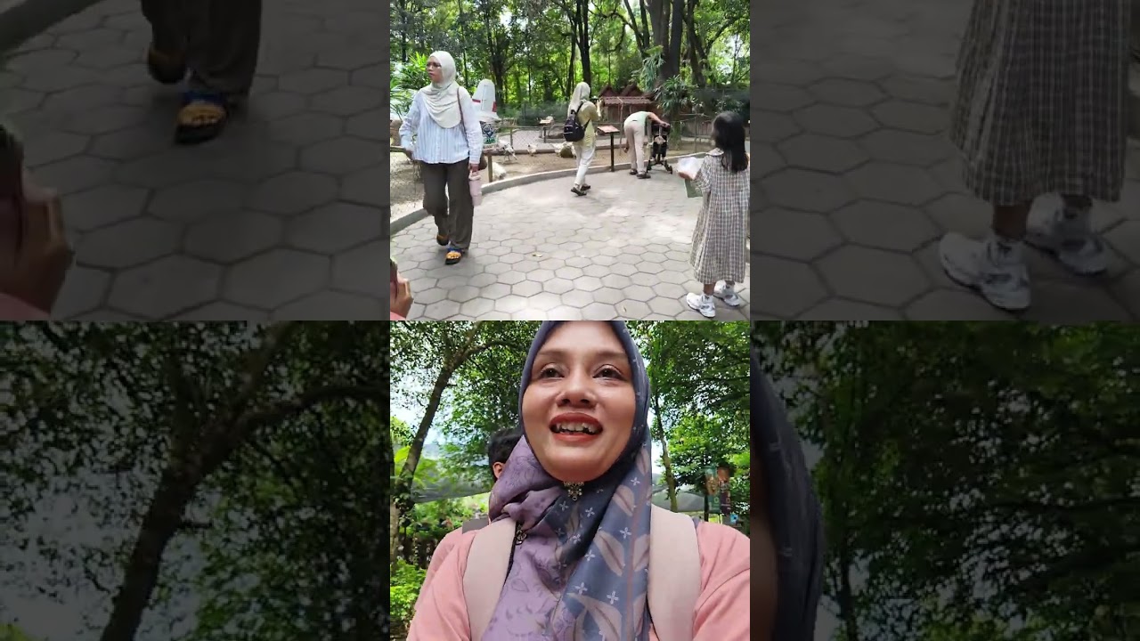 Gembiraloka Zoo Yogyakarta #zoo #yogyakarta #wisata #yogya  
