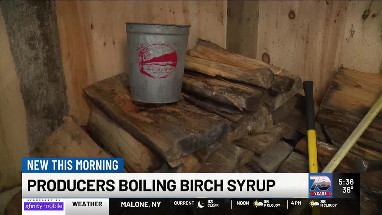 Syrup producers branch out to birch trees