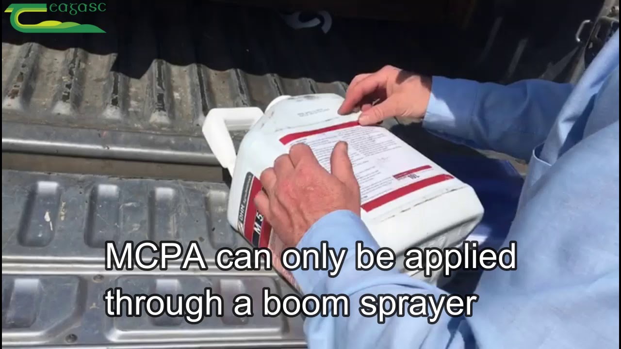 Rush Control and MCPA