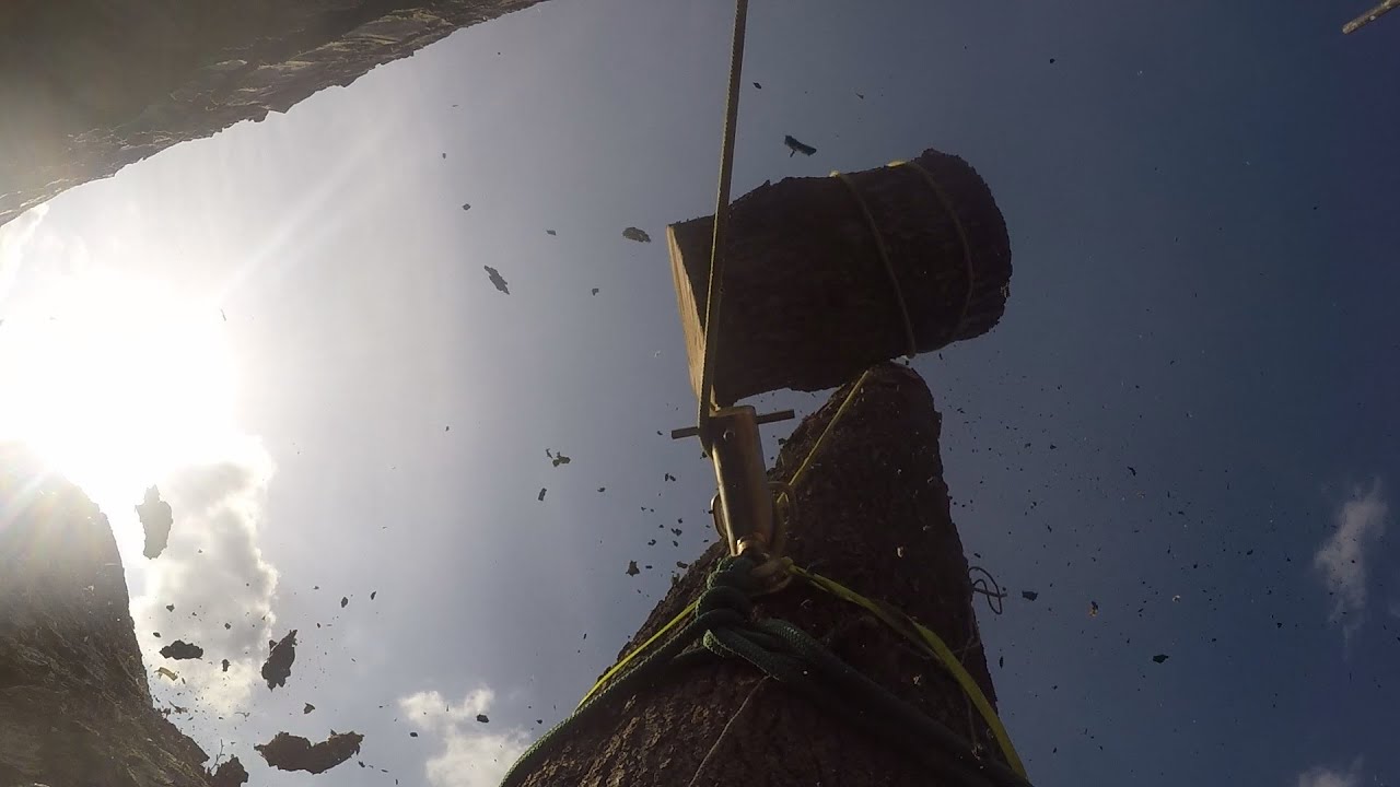 Tree Removal inc. negative rigging