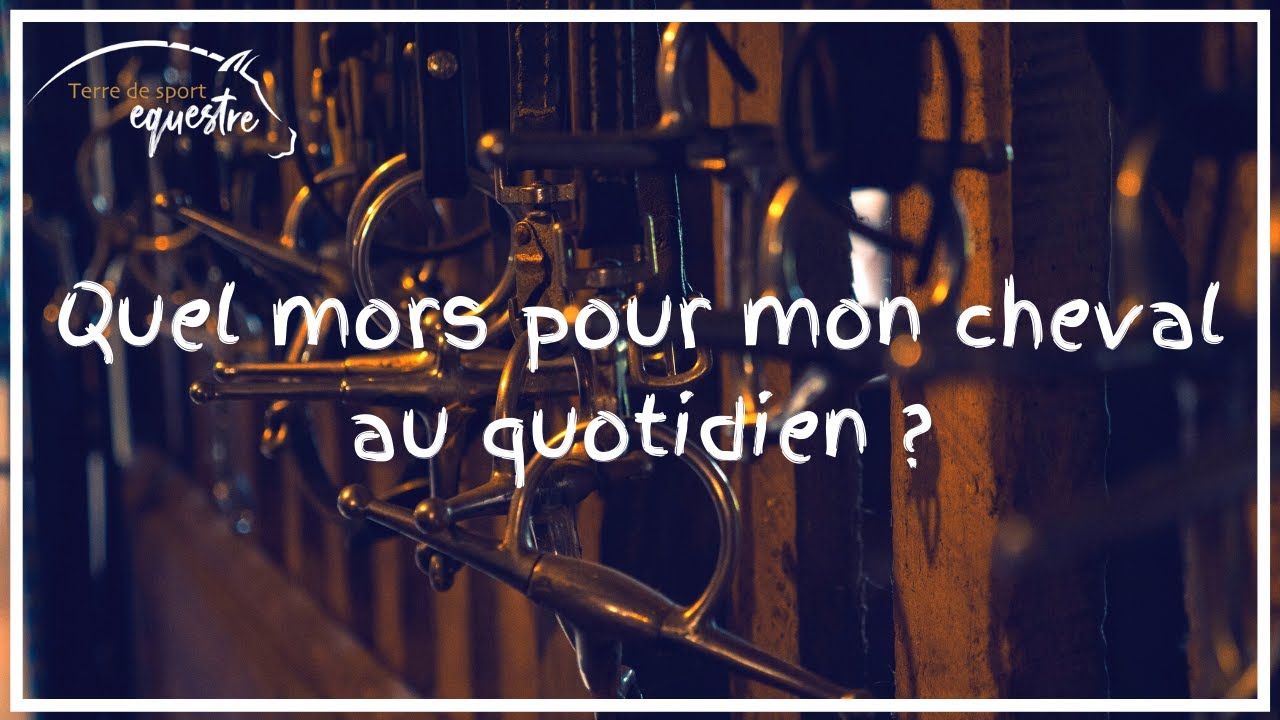 Quel mors pour mon cheval au quotidien ?