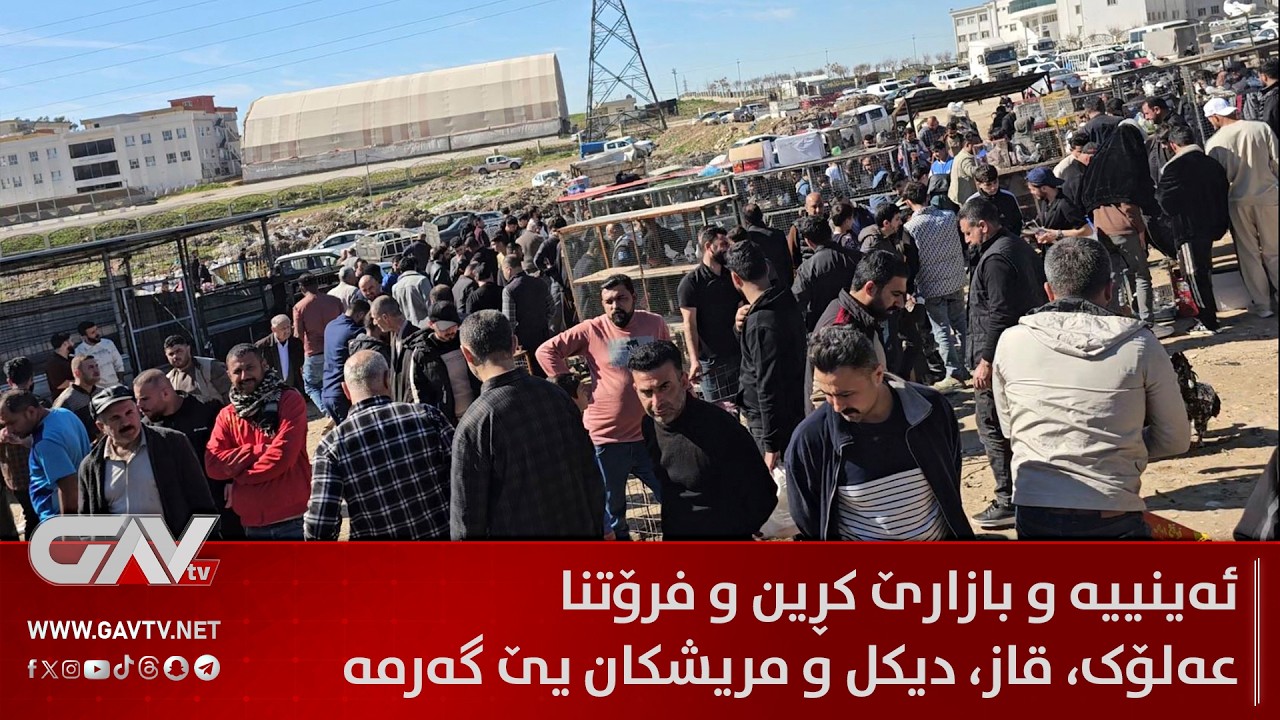 ئەینییە و بازارێ کڕین و فرۆتنا عەلۆک، قاز، دیکل و مریشکان یێ گەرمە