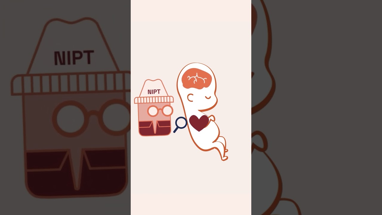 NIPT the genetic detective: All you need to know 