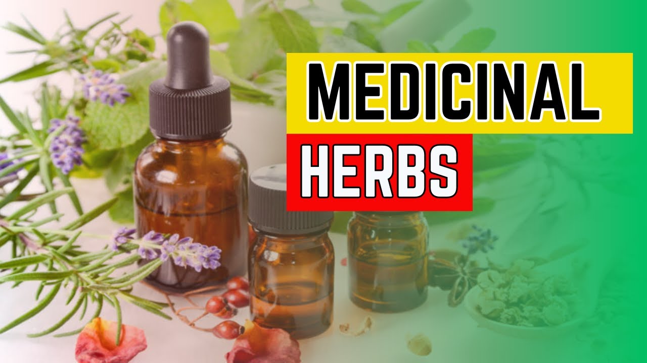 10 Incredible MEDICINAL PLANTS | Easy Home Remedies Just in 2 Minutes!