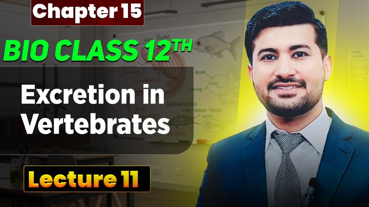 Excretion in Vertebrates class 12 Fsc biology book 2 by irtisamsbiology