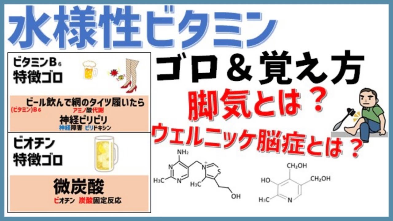 【ゴロ】水溶性ビタミンすべて覚えよう