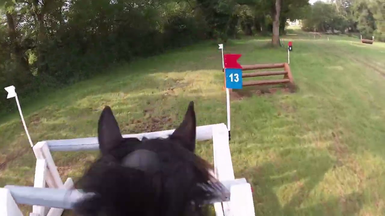 Le Lion d'Angers - Cross Amateur élite - Mai 2023