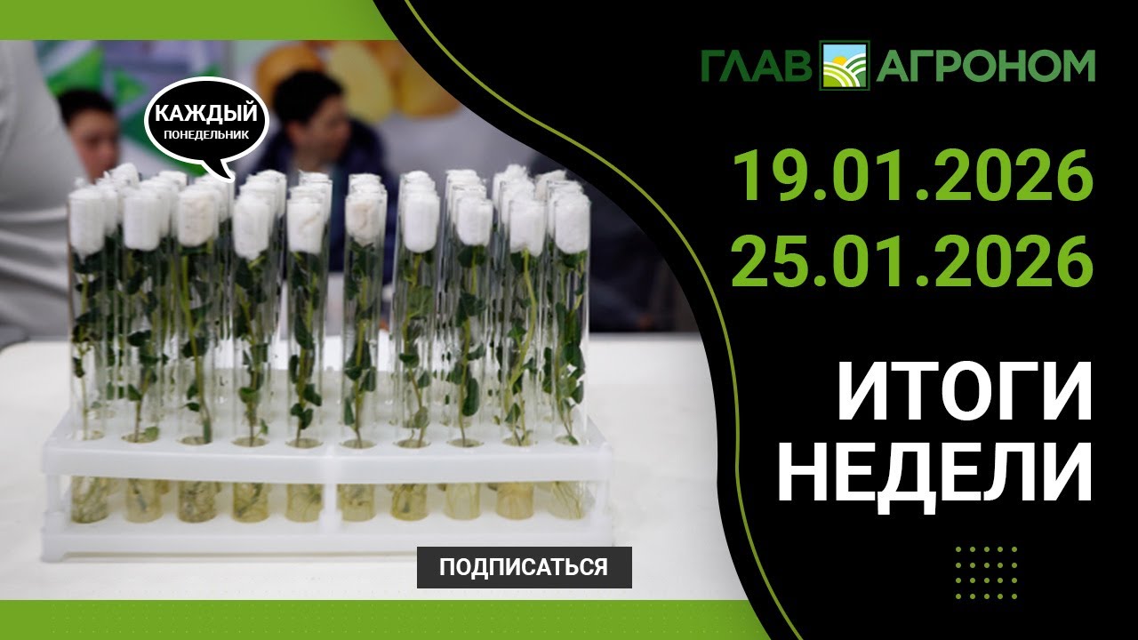 Итоги недели с ГлавАгроном.  19.01.2026 - 25.01.2026