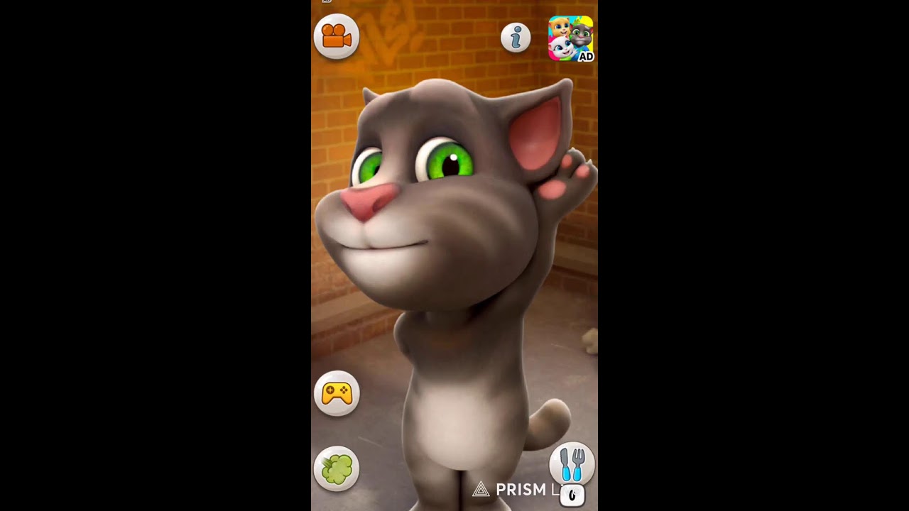 talking tom nice gameplay live stream 😎