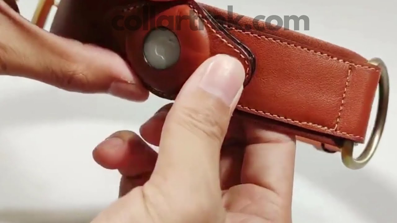AirTag Dog Collar | Worry-Free Tracking