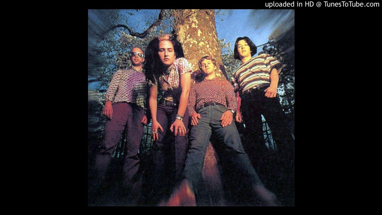 Dambuilders - drive by kiss