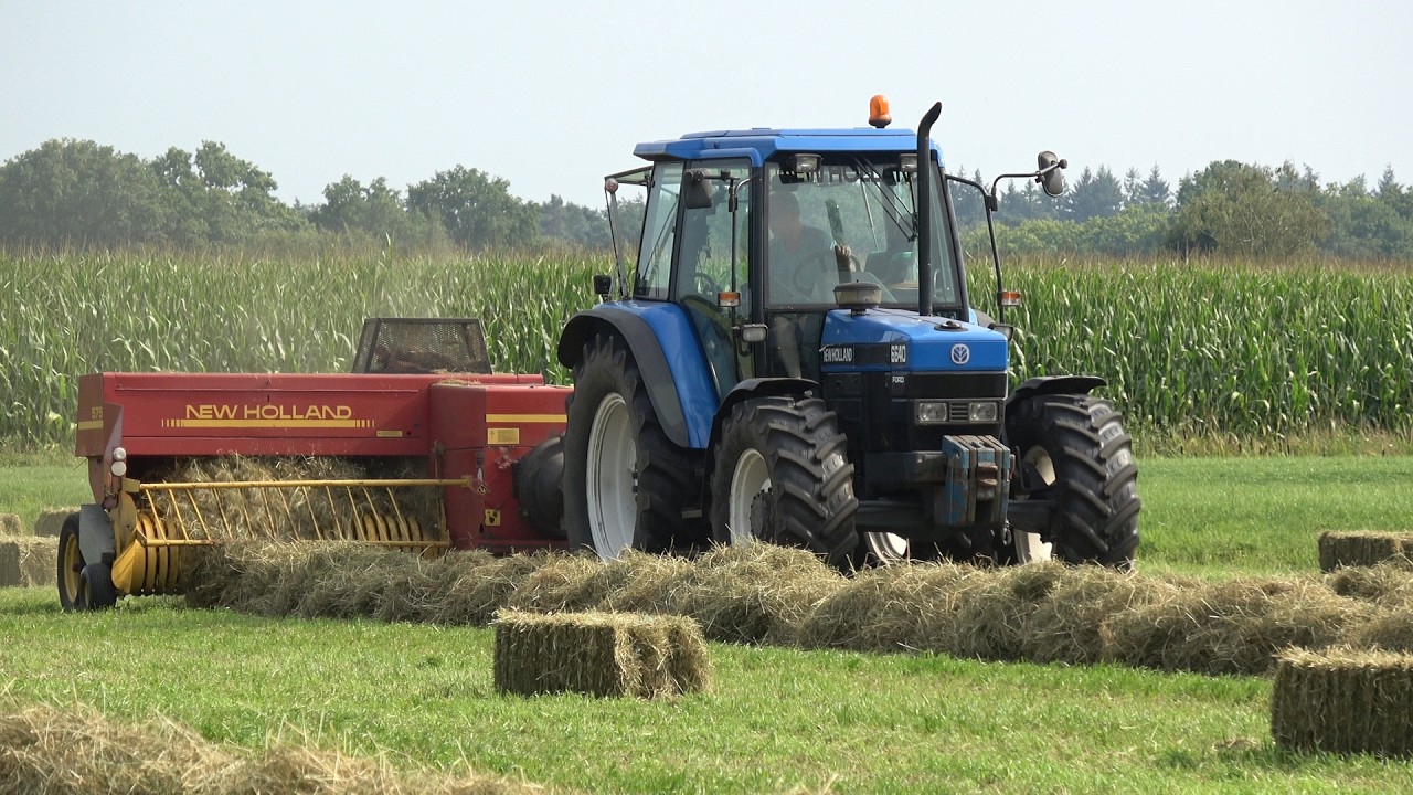 Kleine hooibalen persen met New Holland Ford 6640 en New Holland 575 kleinpakpers (2025)