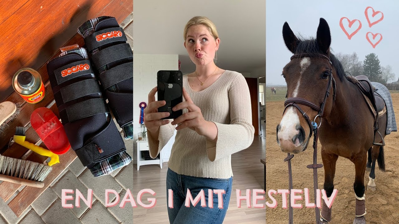 VLOG | en dag i mit hesteliv! prøver nye ridestøvler & lejlighedsupdate | Camillas Hesteverden