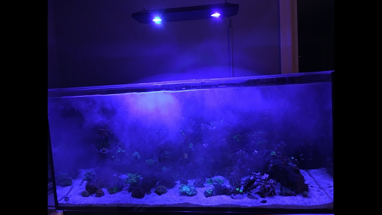 Red Sea XL 425 - Micro Bubble Scrubbing Using Outside Air: How Hard Can it Be? Well...