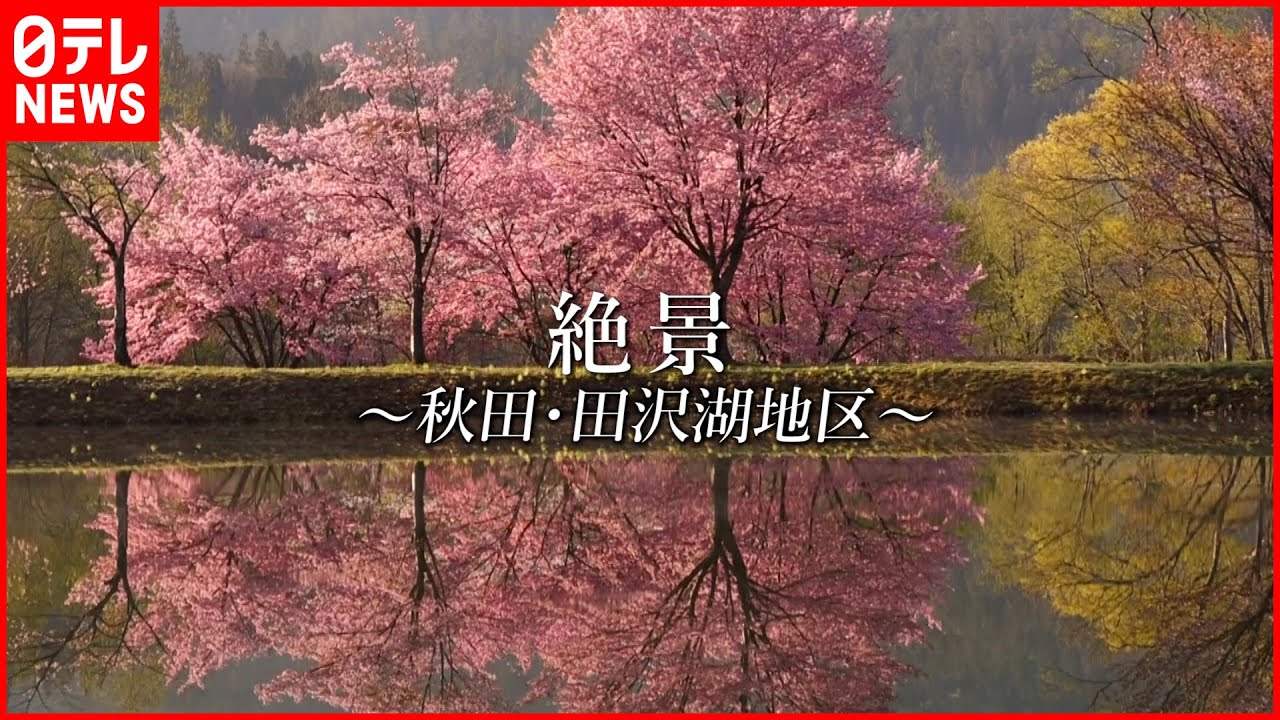 【絶景】水辺の桜  秋田の遅い春～秋田・田沢湖地区～　NNNセレクション